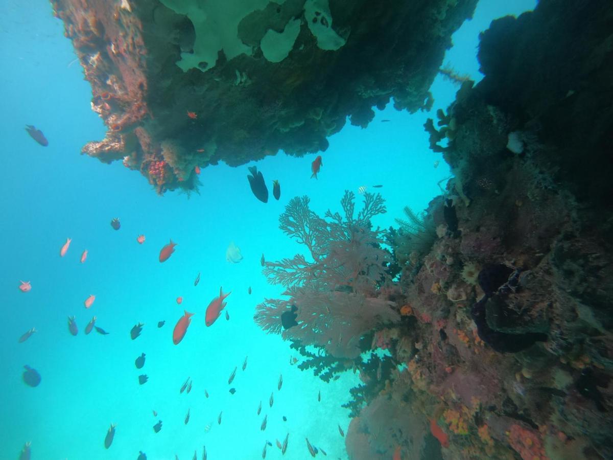 Meos Ambower Homestay Raja Ampat Fam ภายนอก รูปภาพ