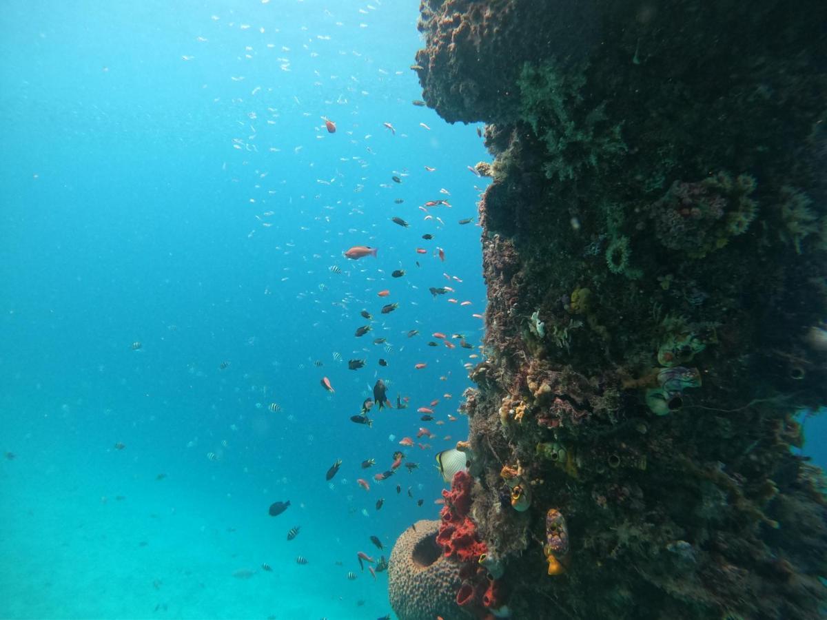 Meos Ambower Homestay Raja Ampat Fam ภายนอก รูปภาพ