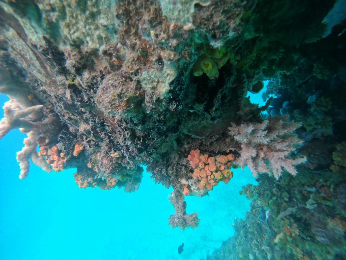 Meos Ambower Homestay Raja Ampat Fam ภายนอก รูปภาพ