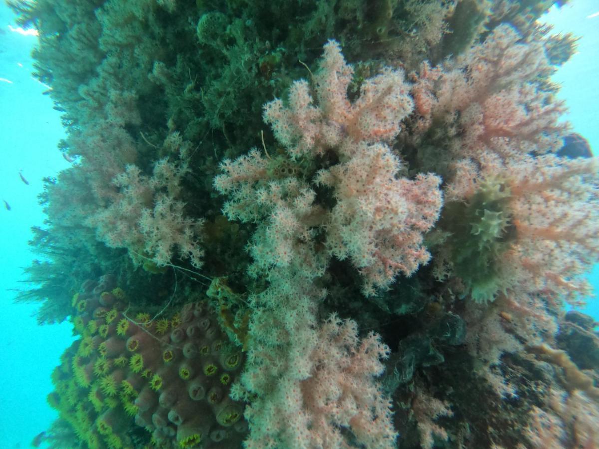 Meos Ambower Homestay Raja Ampat Fam ภายนอก รูปภาพ