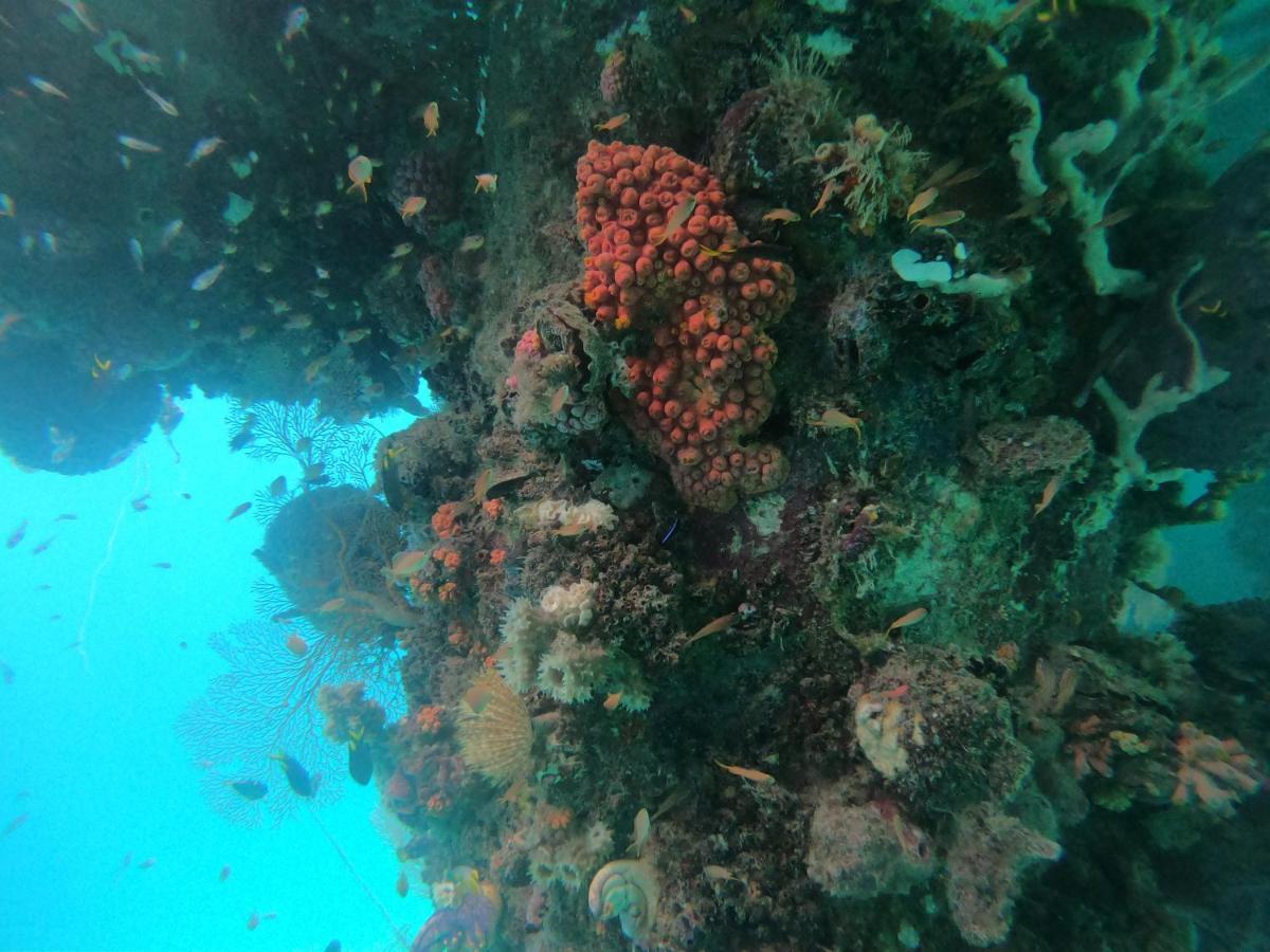 Meos Ambower Homestay Raja Ampat Fam ภายนอก รูปภาพ