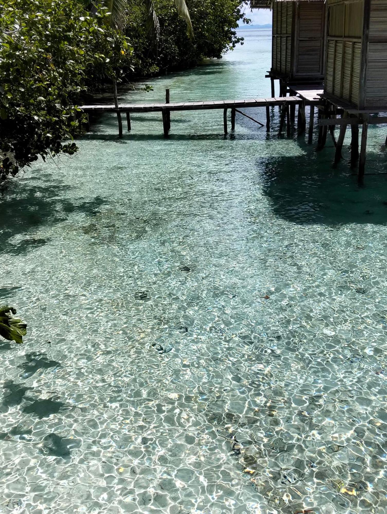 Meos Ambower Homestay Raja Ampat Fam ภายนอก รูปภาพ