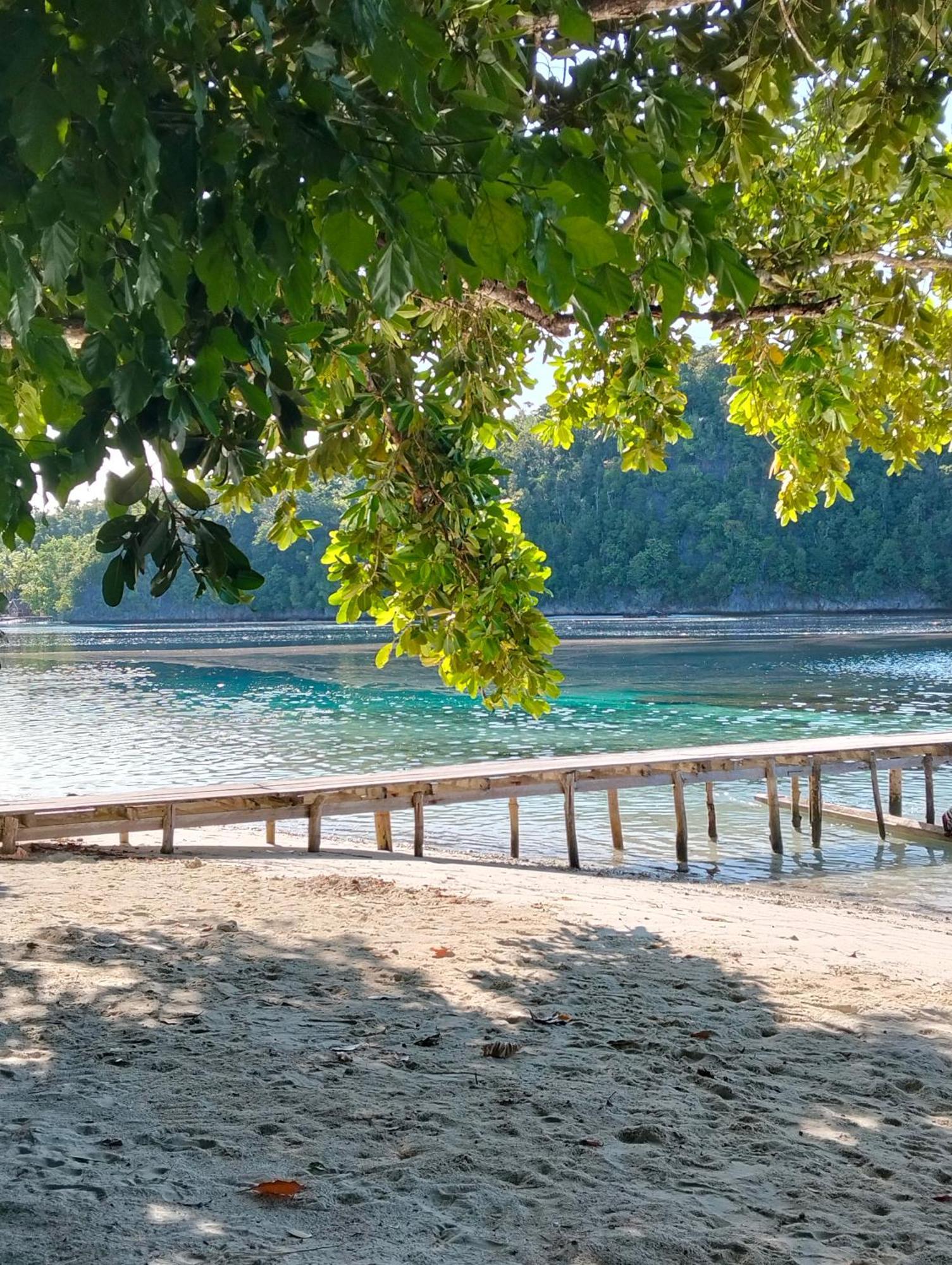 Meos Ambower Homestay Raja Ampat Fam ภายนอก รูปภาพ